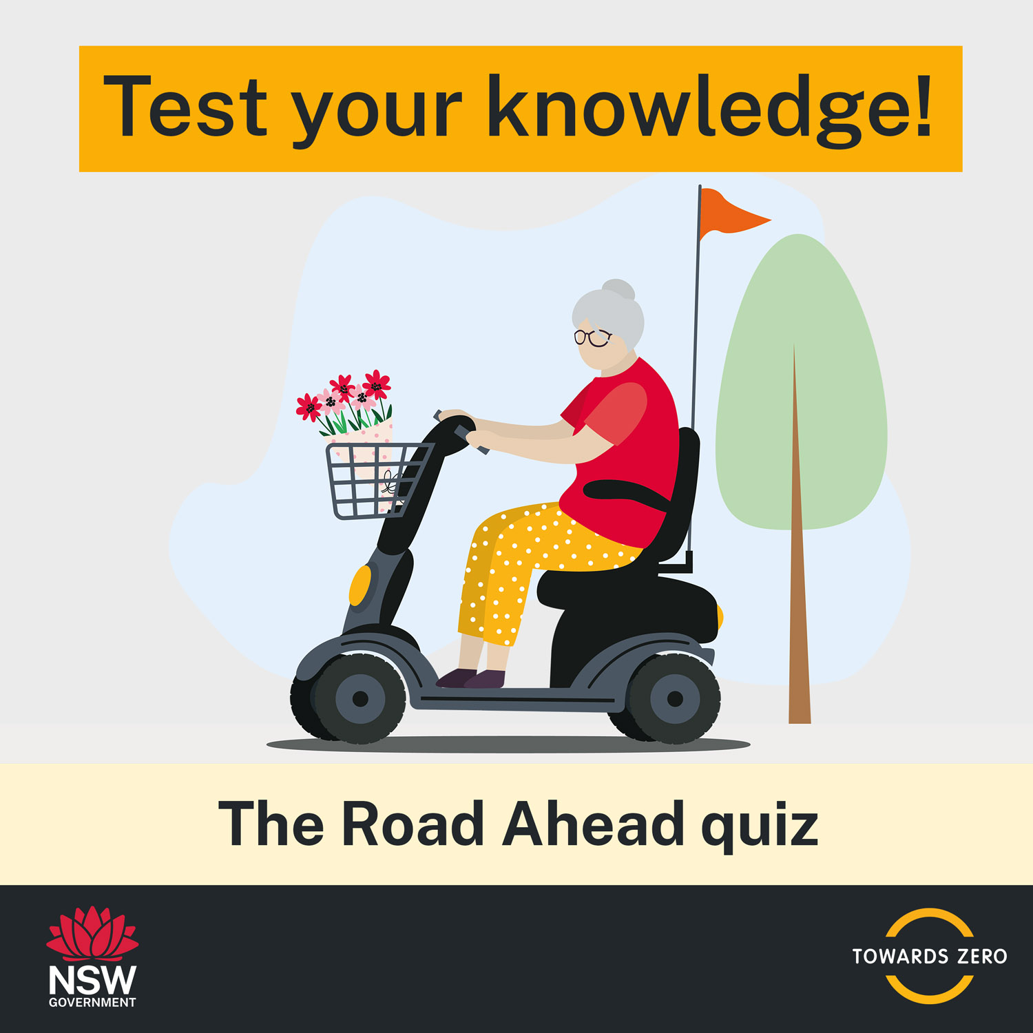 The Road Ahead (older road users) quiz